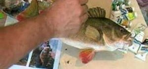 Paint a stuffed perch with acrylic paints