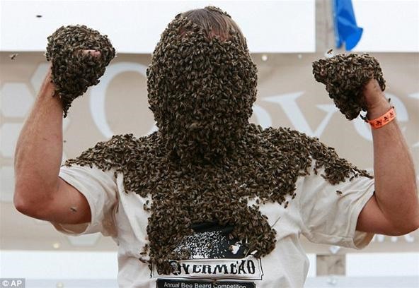 What if Your Face Was Covered in 50,000 Bees?