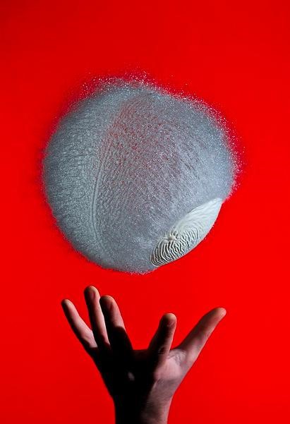 Brain-Defying Explosive Balloon Photography