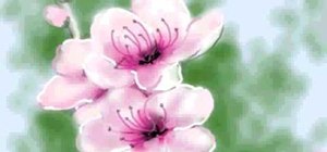 Draw a peach blossom