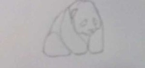 Draw a baby panda bear