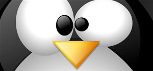 Recover Deleted Files in Linux