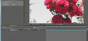 Create a color isolation effect in After Effects
