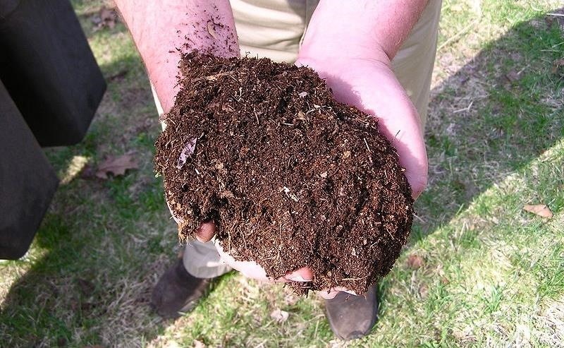 Soil Science: How Microbes Make Compost to Feed the Soil