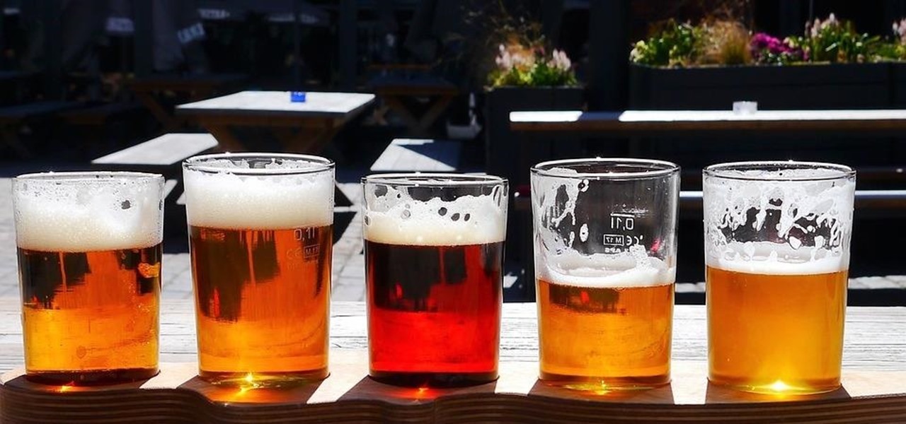 Undergrad Student Scientist Made Beer Good for You — and Your Gut Microbes — by Adding Probiotics