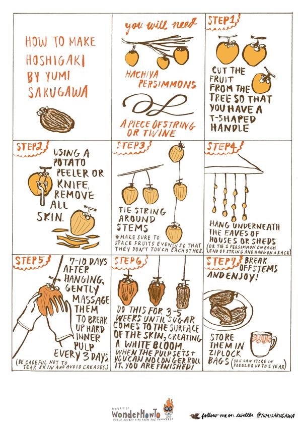 How to Make Hanging Dried Persimmons (Hoshigaki)