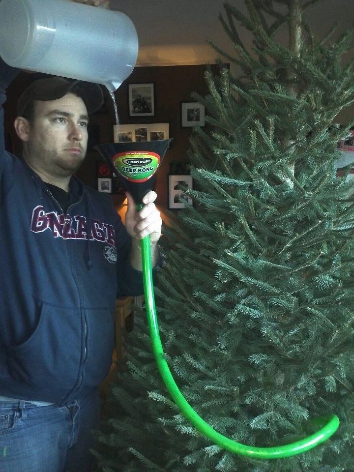 5 Weird & Easy Ways to Water Your Christmas Tree