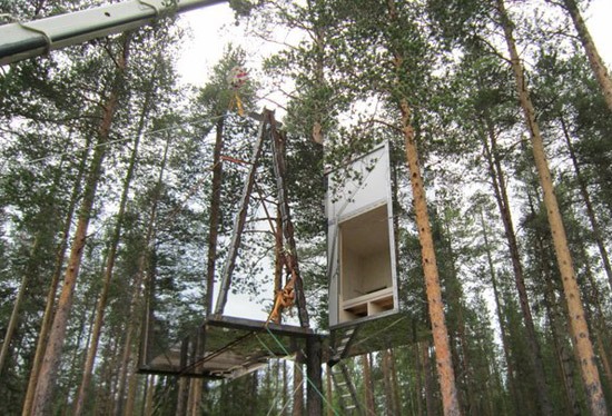 The Invisible Treehouse