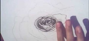 Draw a rose for beginners