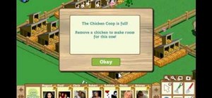 Get mystery eggs from chicken coops in FarmVille