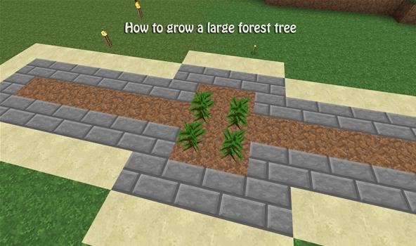How to Build a Tree Farm in Minecraft for Easy Access to All Types of Wood