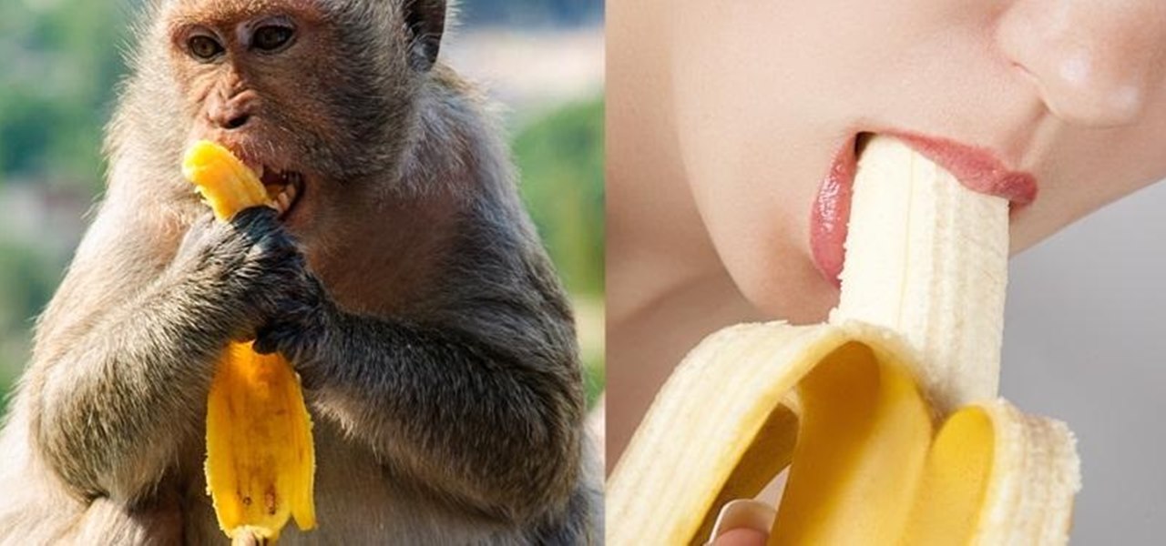 Humans Are the Only Primates That Can't Eat and Breathe at the Same Time