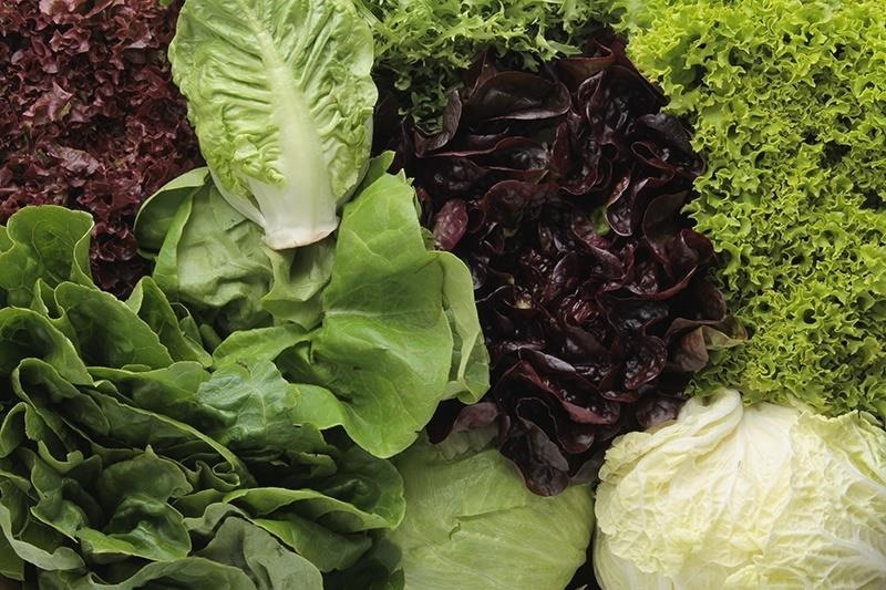 Good Veggies Gone Bad: When to Throw Out Those Onions, Mushrooms, & Greens in Your Fridge