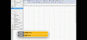 Use the OpenOffice.org 3.2.1 Calc user interface
