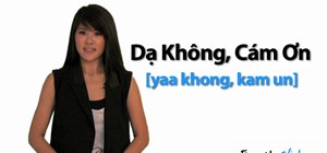 Say "yes, no, maybe, & no, thank you" in Vietnamese