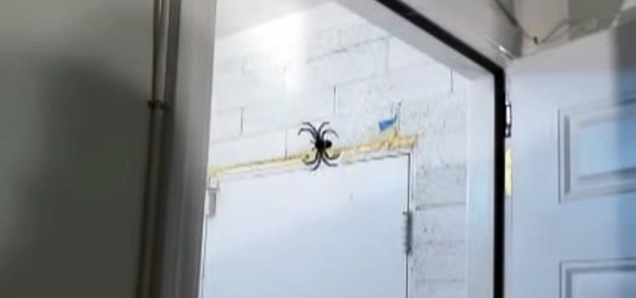 Pull Off the "Spider Above the Door" Prank