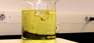 Compare the densities of ice and vegetable oil