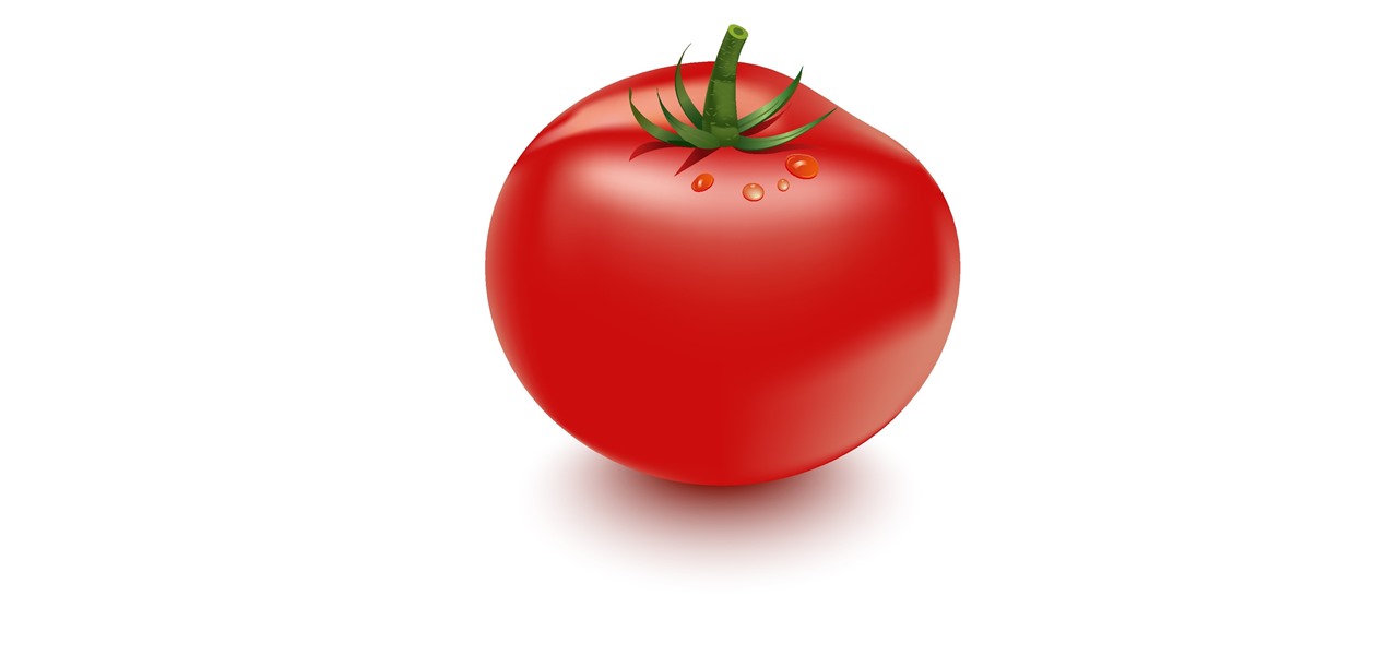 How To Illustrate A Tomato Using Gradient Mesh Tool « Adobe Illustrator ::  Wonderhowto