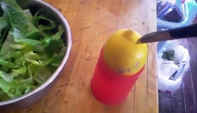 How to Turn a Lemon into Its Own Seed-Filtering Juicer