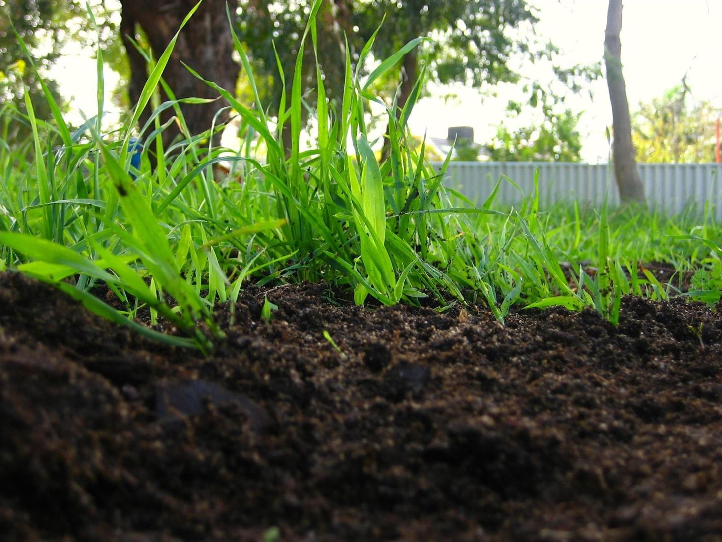Food Tool Friday: Yes, You Can Compost (Even Without a Yard)
