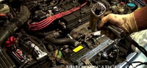 Set the ignition timing in an Acura Integra