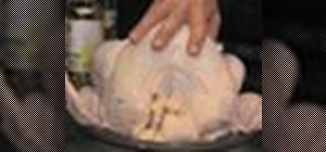 Locate the different cuts of meat on a turkey