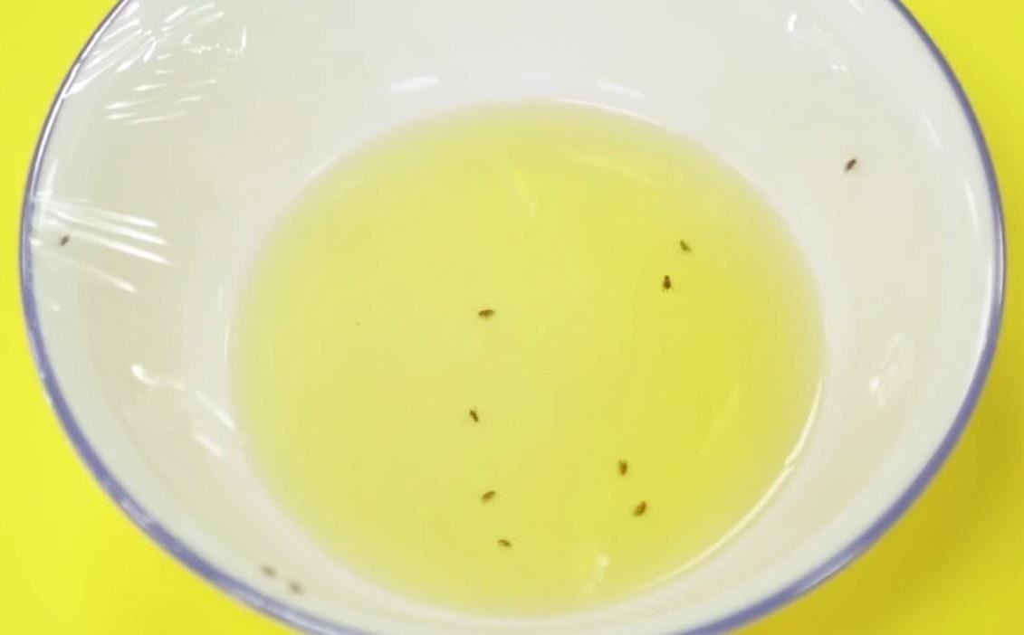 How to Rid Your Kitchen of Fruit Flies Once and for All