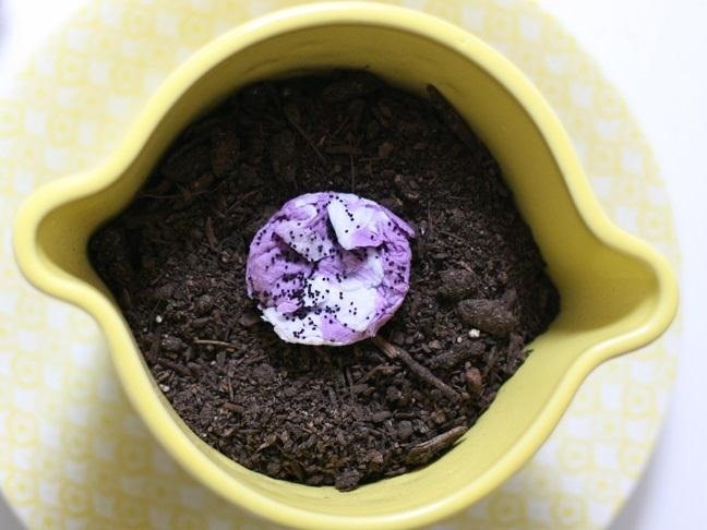 5 Crafty and Unique Ways to Make Your Own Seed Starters