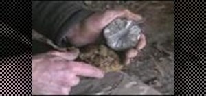 Start a fire with a "flint on marcasite" method