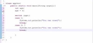 Use the switch statement for Java programming