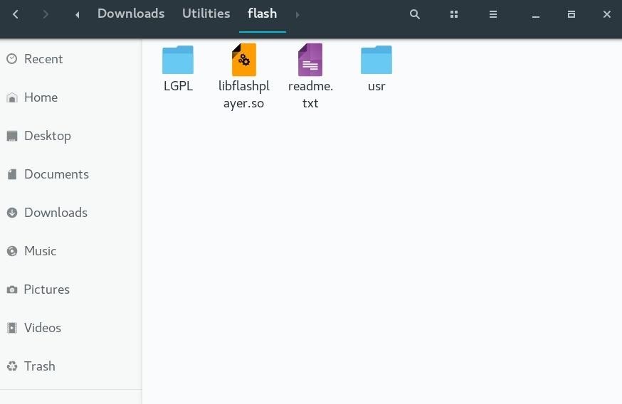 Folder With Adobe Flash Player