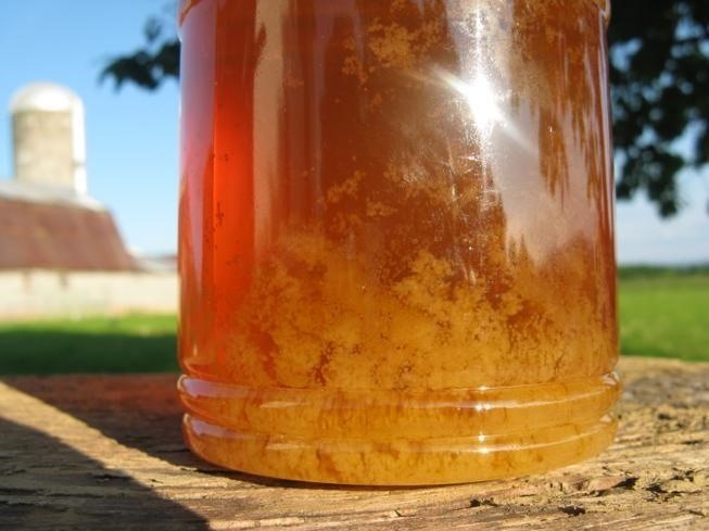 Nature's Food Hacks: How Honey's Magical Qualities Make It Indispensable