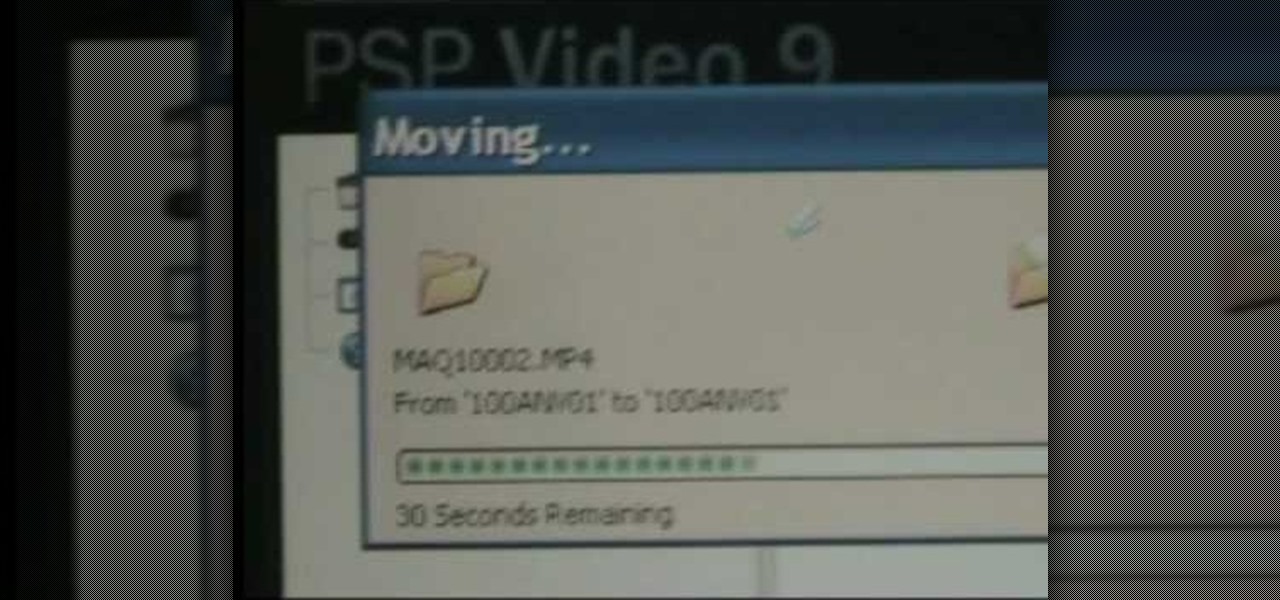 Porn Videos For Your Psp 81