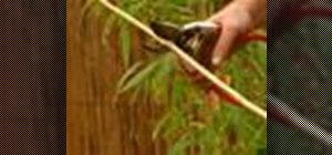 Make bamboo plant supports