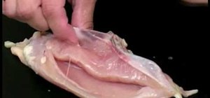 Remove tenderloins from chicken breast