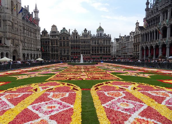 Gigantic Carpet of 750,000 Begonias (Assembled in Just 4 Hours!)