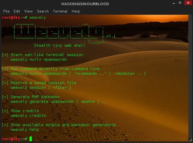 HIOB: How to Generate Web Backdoors { PHP } Using Weevely in Kali Linux