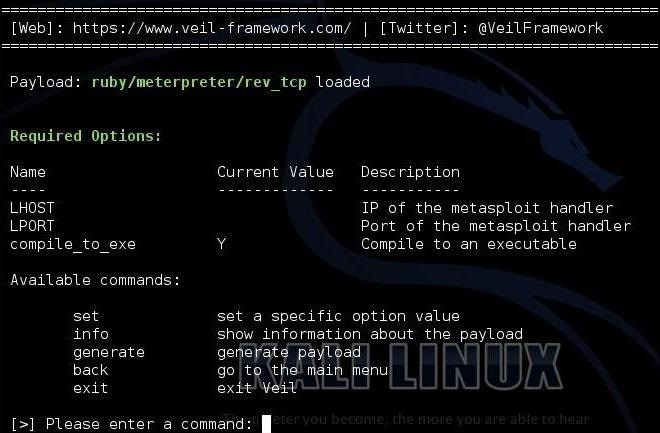 Hack Like a Pro: How to Evade AV Detection with Veil-Evasion