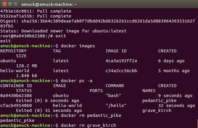 How to Create a Reusable Burner OS with Docker, Part 1: Making an Ubuntu Hacking Container