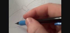 Draw a realistic butterfly with pencil