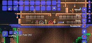 Craft the Ivy Whip in Terraria