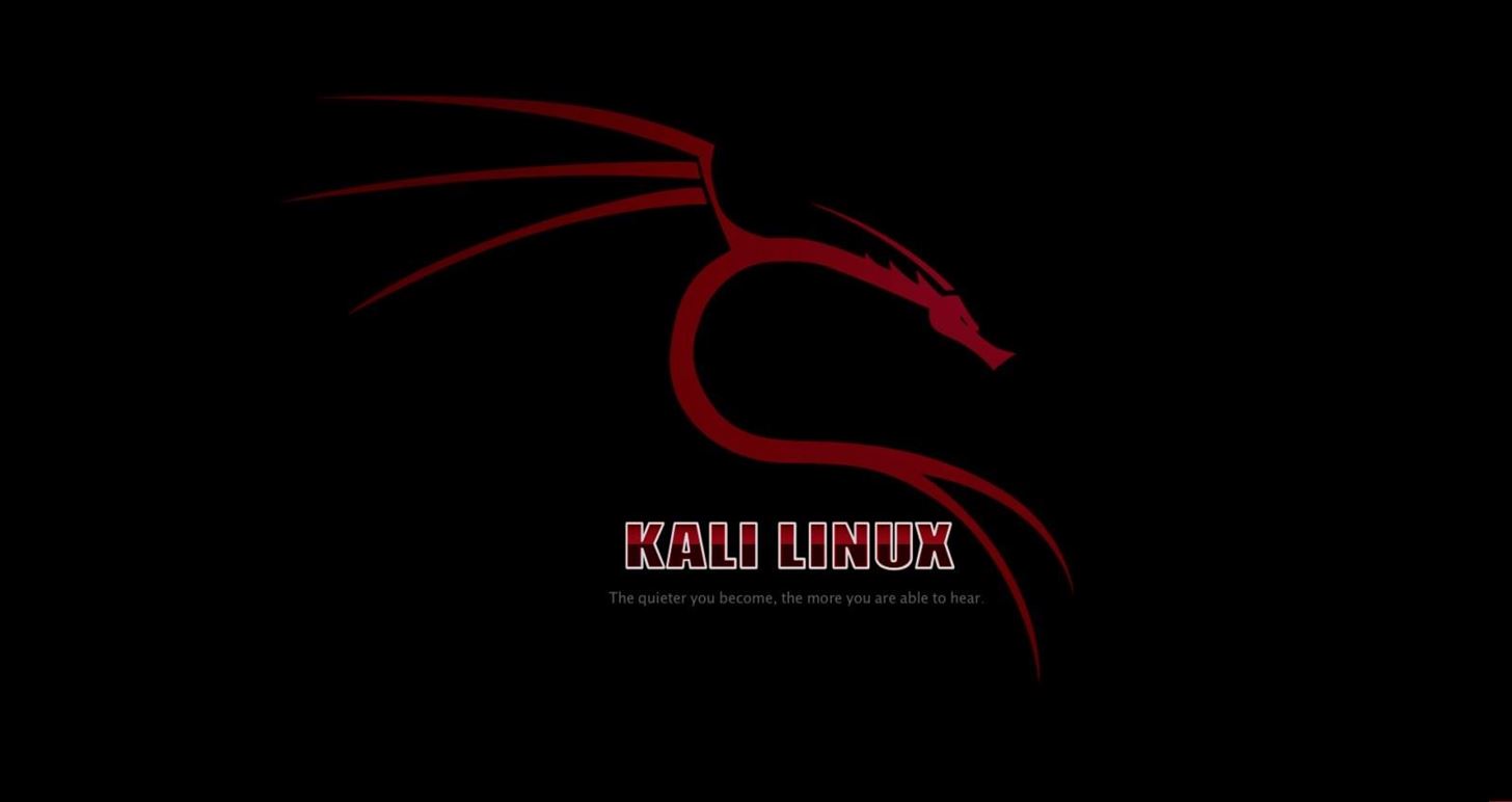 BackTrack / Kali Linux Goodies