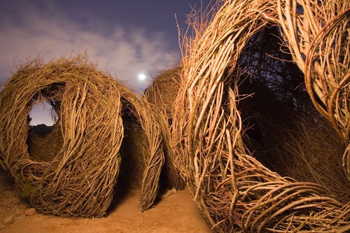 Incredible Human-Sized Nests Installed Across the Globe