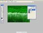 Apply an adjustment layer in Photoshop CS2