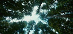 "Tree of Life" Trailer = Take That, Summer Blockbuster (DP: Emmanuel Lubezki)