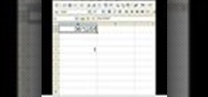 Use the leap year function in an Excel spreadsheet