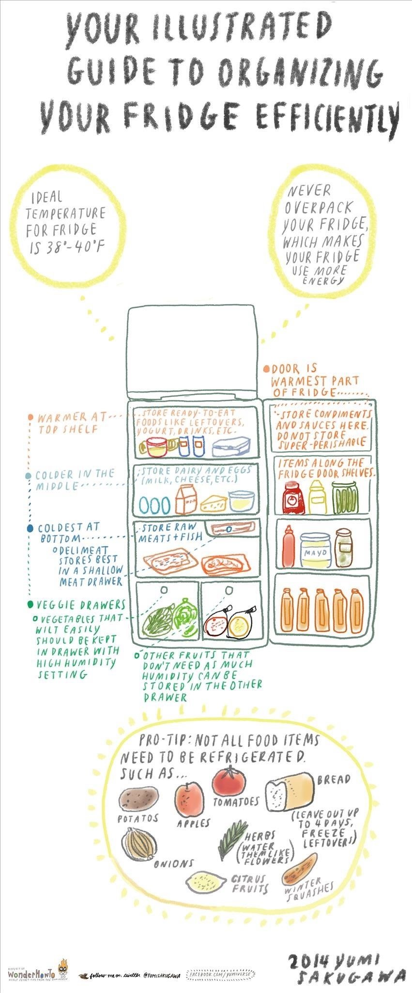 How to Organize Your Fridge More Efficiently for Longer Lasting Foods