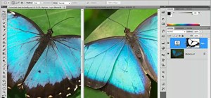Create a quick layer mask within Adobe Photoshop CS5