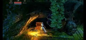 Find all the secret chests in the video game Trine